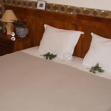 Хотел Boutique Troy Свети Влас