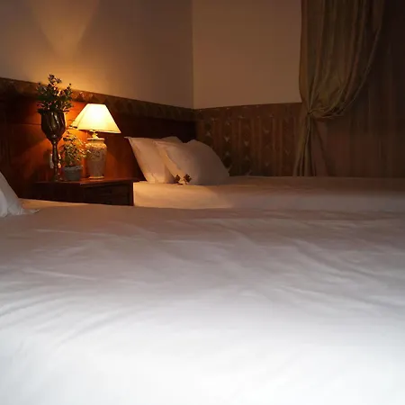Boutique Troy Hotel 3*